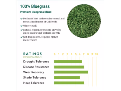 100% Bluegrass Premium Blend