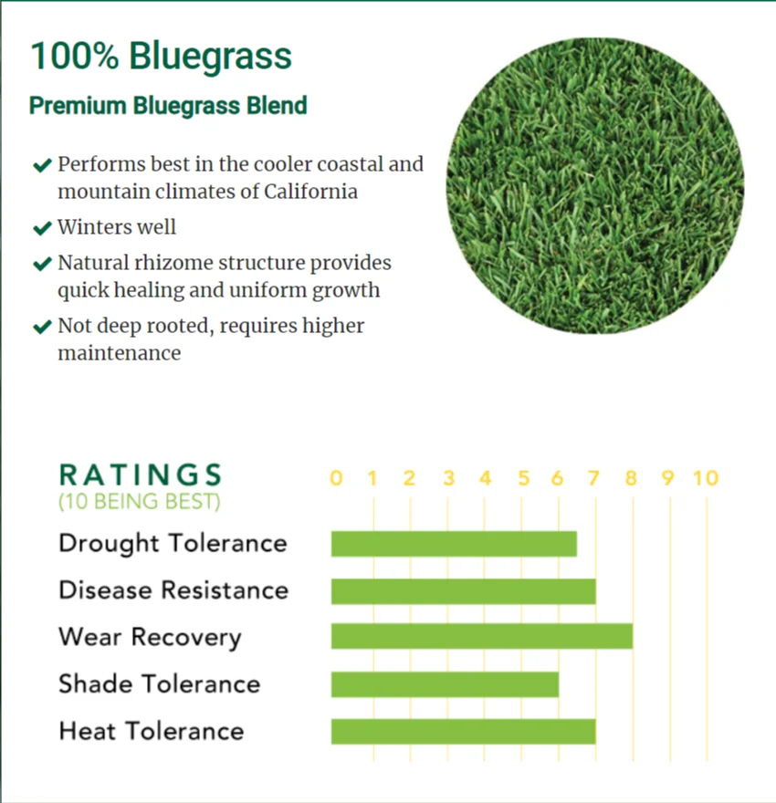 100% MEZCLA BLUEGRASS PREMIUM - Image 1