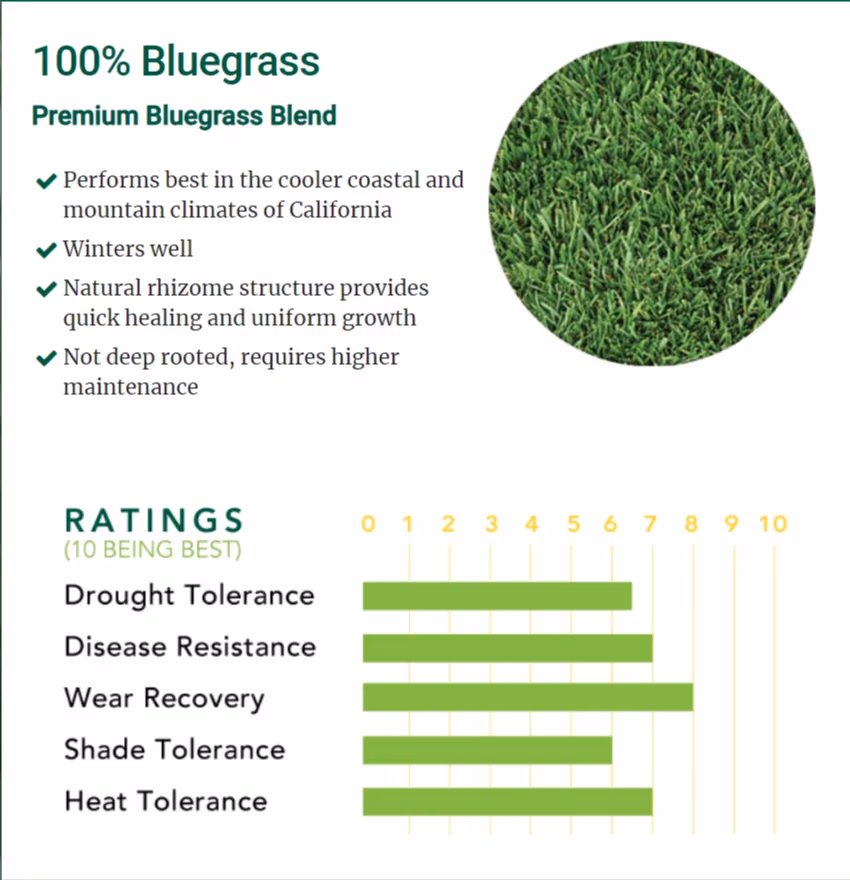 100% Bluegrass Premium Blend — landscape material for landscaping