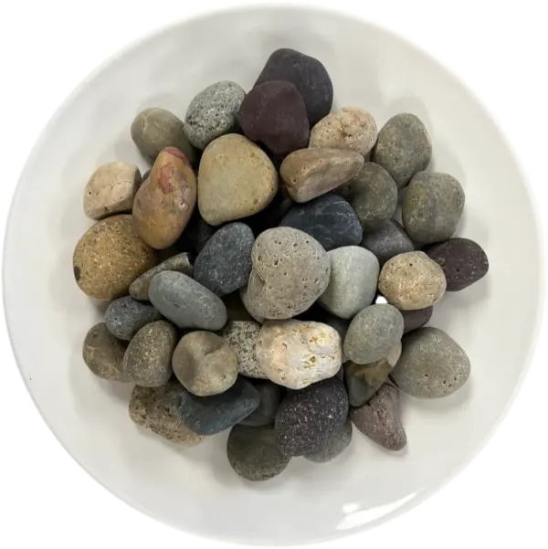 Mixed Mexican Beach Pebbles 1"-2"
