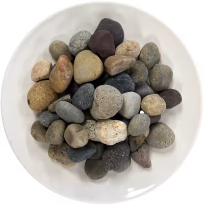 Mixed Mexican Beach Pebbles 1"-2"