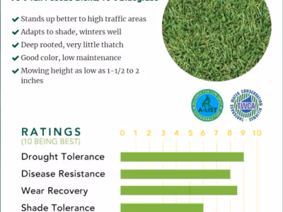 90/10 FESTUCA ALTA (TALL FESCUE)