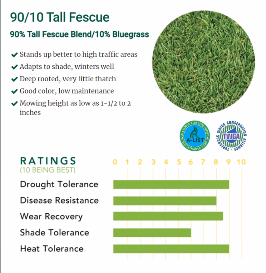 90/10 Tall Fescue — landscape material for landscaping