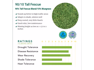 90/10 Tall Fescue