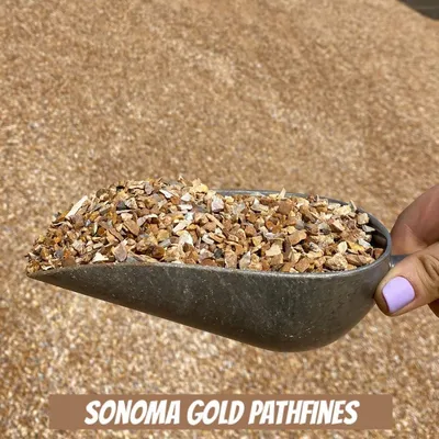 Oro Sonoma Pathfines