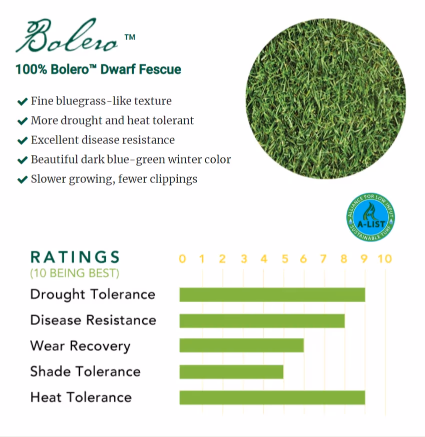Fescue Enano Bolero™ (Bolero™ Dwarf Fescue) — landscape material for landscaping