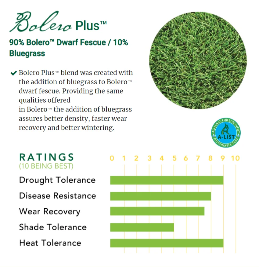 Bolero Plus™ - Image 1