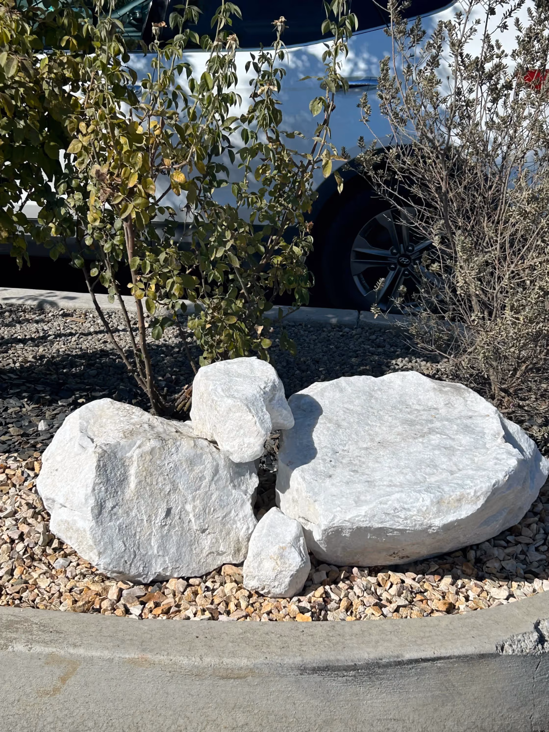 Premium Dolomite Boulders — white, gray boulder for landscaping