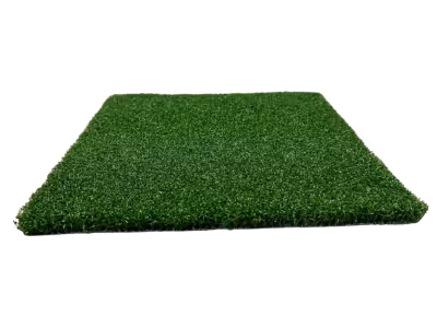 FG Putt PRO