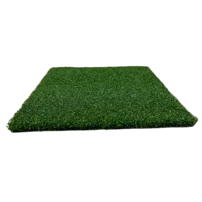 FG Putt PRO