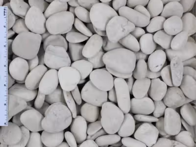 Guijarros de Marfil de Playa Mexicana - Bolsa de 44lb ($39.95)