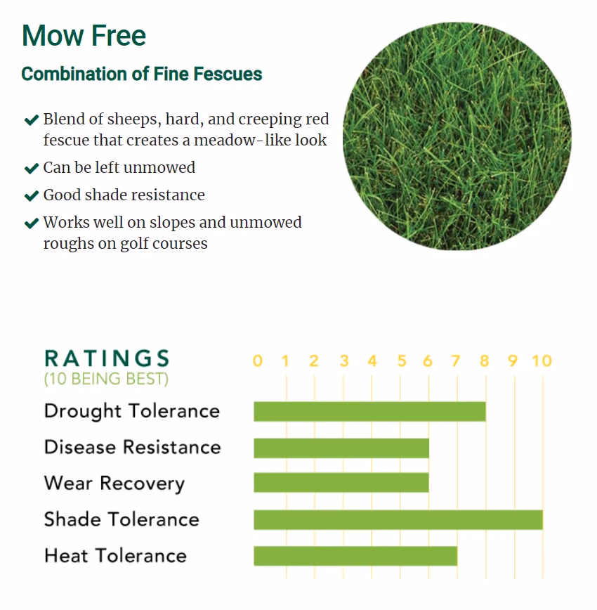 Mow Free — landscape material for landscaping