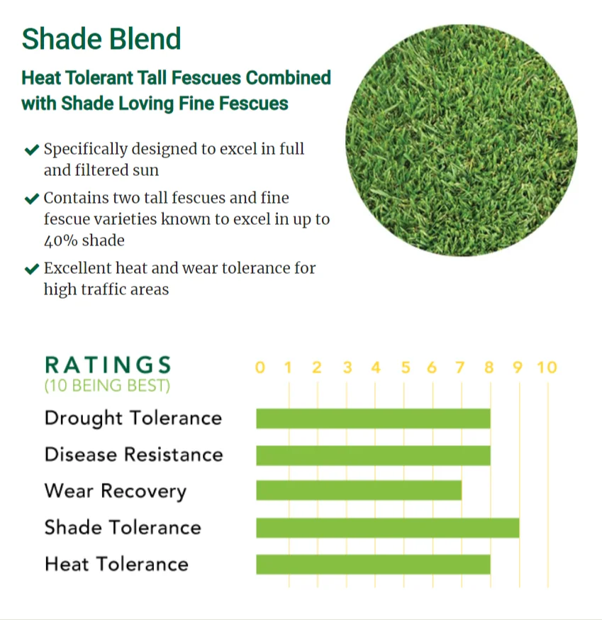 Mezcla para Sombra (Shade Blend) - Image 1