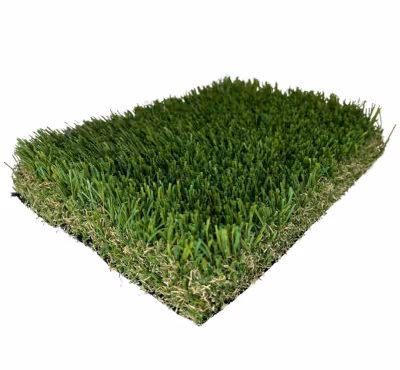 Tall Fescue