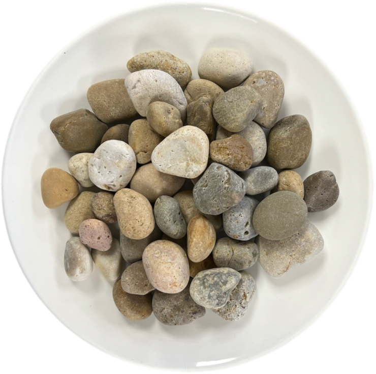 Buff Mexican Beach Pebbles - 50lb Bag ($21.50) or Bulk ($825/3000lbs) - ½"-1", 1"-2", 2"-3"