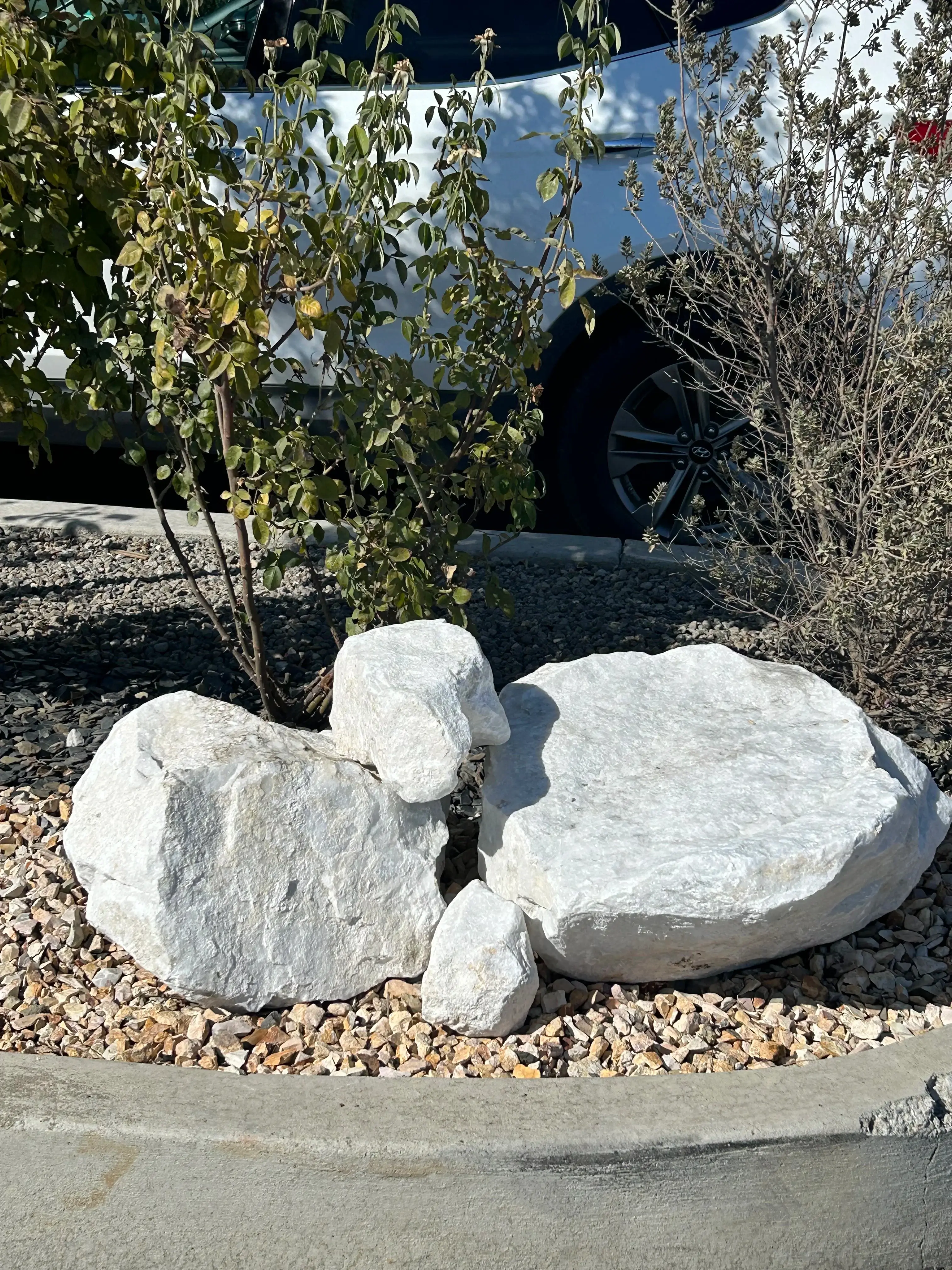 Premium Dolomite Boulders